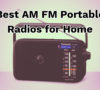 Best AM FM Portable Radios for Home